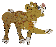 PBK/Poppyhill's Catcher in the Rye — “Caulfield”