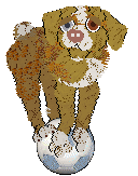 PBK/Poppyhill's Catcher in the Rye — “Caulfield”