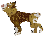 PBK/Poppyhill's Catcher in the Rye — “Caulfield”