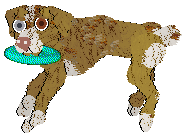 PBK/Poppyhill's Catcher in the Rye — “Caulfield”