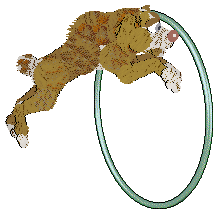 PBK/Poppyhill's Catcher in the Rye — “Caulfield”