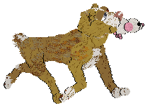 PBK/Poppyhill's Catcher in the Rye — “Caulfield”