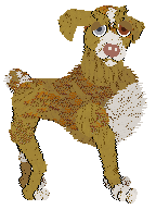 PBK/Poppyhill's Catcher in the Rye — “Caulfield”