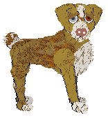 PBK/Poppyhill's Catcher in the Rye — “Caulfield”