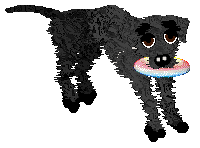 FK's Sing Your Melody — “Melody”