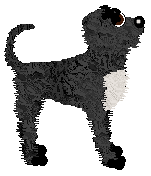 FK's Sing Your Melody — “Melody”