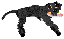 FK's Sing Your Melody — “Melody”