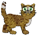 Profile image of FK/Calluna's Sting Like a Bee