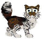 Frogbowl/Calluna's Chocolate Cream — “Frys”