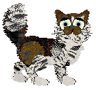 Frogbowl/Calluna's Chocolate Cream — “Frys”