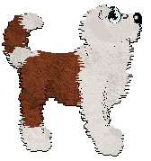 Profile image of Bec/Poppyhill's Sodapop Curtis