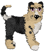 Profile image of Nostalgic/Poppyhill's Baby Gia