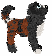 Poppyhill's Seventh Avenue — “Claiborne”