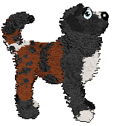 Profile image of Poppyhill's Seventh Avenue