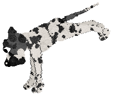 Poppyhill's Transglobe Expedition — “Bothie”