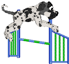 Poppyhill's Transglobe Expedition — “Bothie”