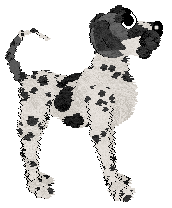 Poppyhill's Transglobe Expedition — “Bothie”