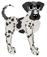 Poppyhill's Transglobe Expedition — “Bothie”