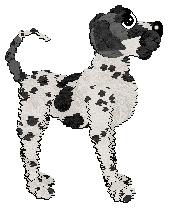 Profile image of Poppyhill's Transglobe Expedition