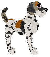 Poppyhill/FK's Nothin' But Malarkey — “Mellarke”