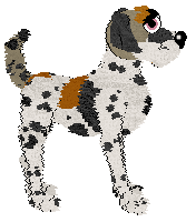 Poppyhill/FK's Nothin' But Malarkey — “Mellarke”