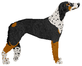 Profile image of Sandswept Windblown