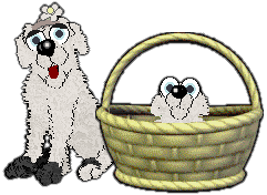 Profile image of King/Witz's Back Alley Brawl