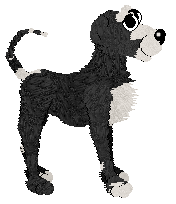 Poppyhill/Amphigory’s Brewed A Summer Wish — “Wish”