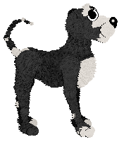 Poppyhill/Amphigory’s Brewed A Summer Wish — “Wish”