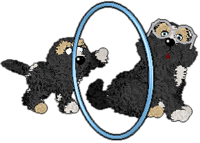 Profile image of King/Witz's Ancient Times