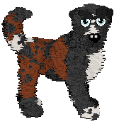 Profile image of Poppyhill's The Stars Might Lie