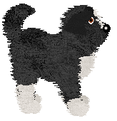 King/Witz's Natural Light — “Rome”