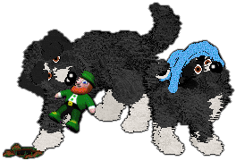 Profile image of King/Witz's Natural Light