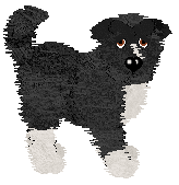 King/Witz's Natural Light — “Rome”