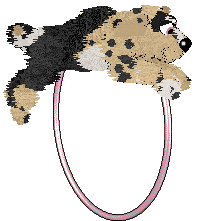 Poppyhill/Witz's Earl Grey Buttercream — “Clairol”