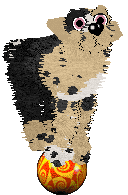 Poppyhill/Witz's Earl Grey Buttercream — “Clairol”