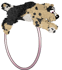 Poppyhill/Witz's Earl Grey Buttercream — “Clairol”