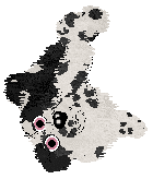 Poppyhill/Amphigory’s Baby in Balenciaga — “Lenci”