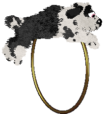 Poppyhill/Amphigory’s Baby in Balenciaga — “Lenci”