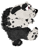 Poppyhill/Amphigory’s Baby in Balenciaga — “Lenci”