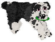 Poppyhill/Amphigory’s Baby in Balenciaga — “Lenci”