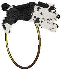 Poppyhill/Amphigory’s Baby in Balenciaga — “Lenci”