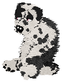 Poppyhill/Amphigory’s Baby in Balenciaga — “Lenci”