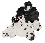 Poppyhill/Amphigory’s Baby in Balenciaga — “Lenci”