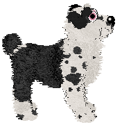 Poppyhill/Amphigory’s Baby in Balenciaga — “Lenci”