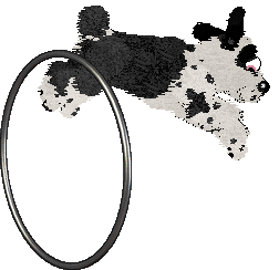 Poppyhill/Amphigory’s Baby in Balenciaga — “Lenci”