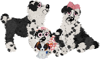 Profile image of Poppyhill/Amphigory’s Baby in Balenciaga