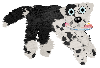 Poppyhill's Thierry of Everything — “Mugler”