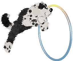 Poppyhill's Thierry of Everything — “Mugler”