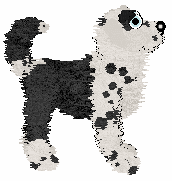 Poppyhill's Thierry of Everything — “Mugler”